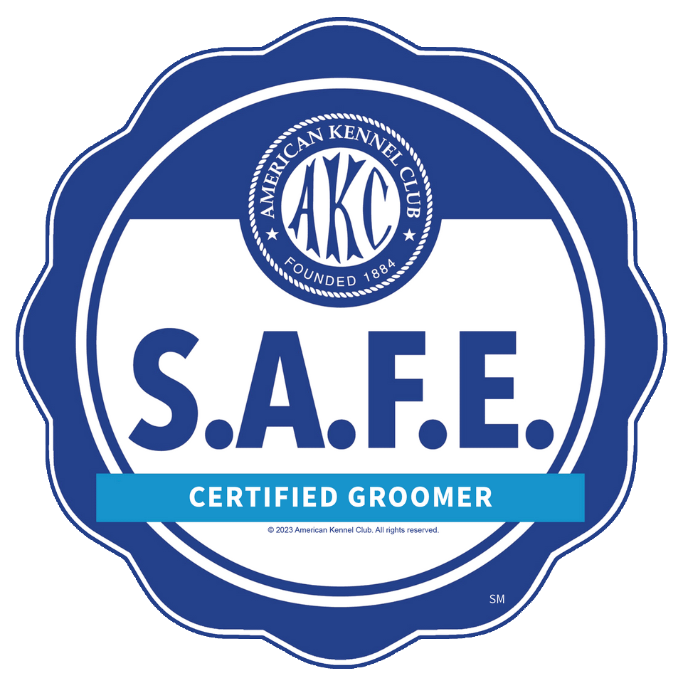 SAFE Logo